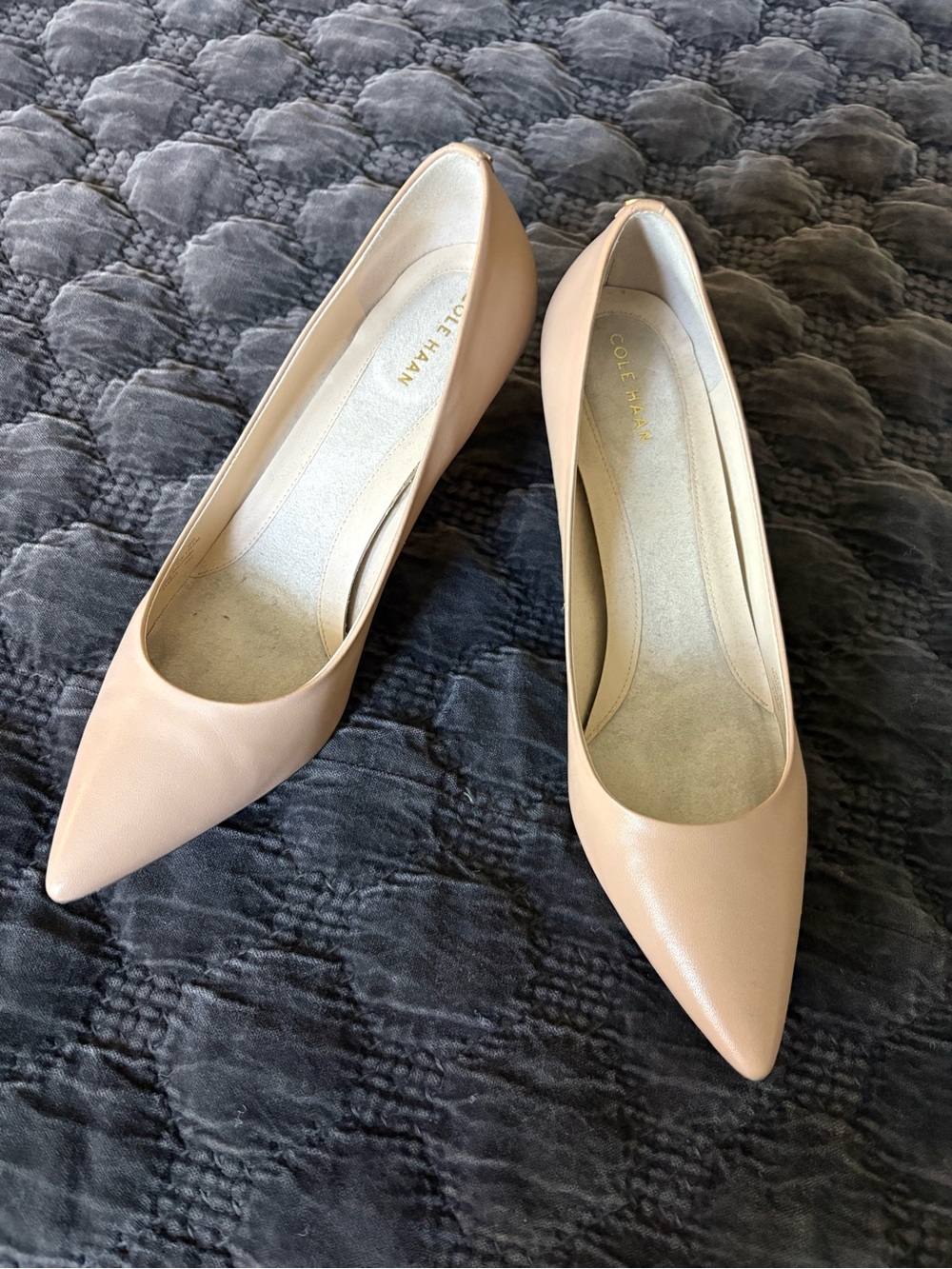 Cole Haan Pointed Toe Leather Pumps